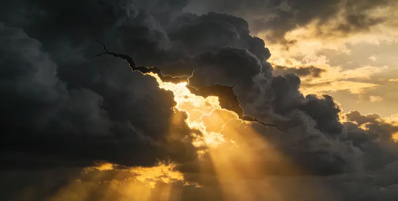 菏泽肺癌8基因突变检测（组织）图片1