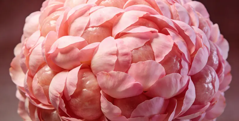 菏泽BRCA1/2乳腺癌卵巢癌基因检测图片1